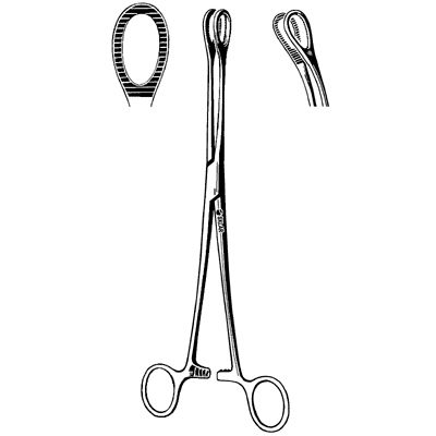 Forceps Curved, 9-1/2\